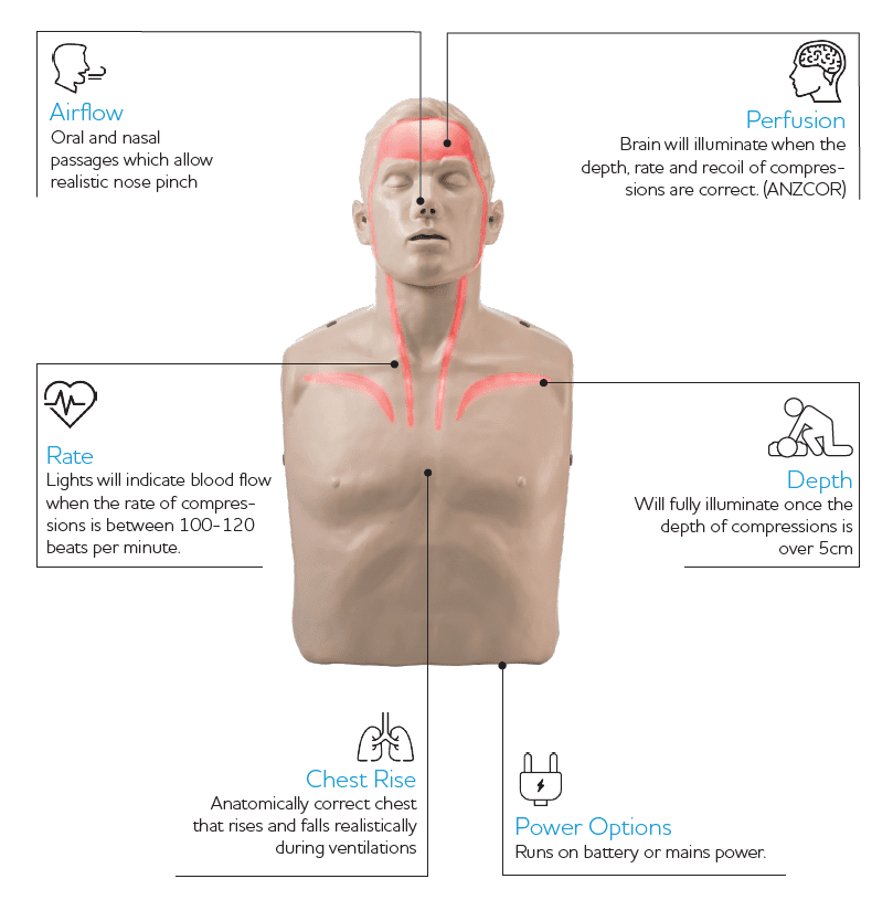 BRAYDEN Pulse CPR Manikin (With Lights)